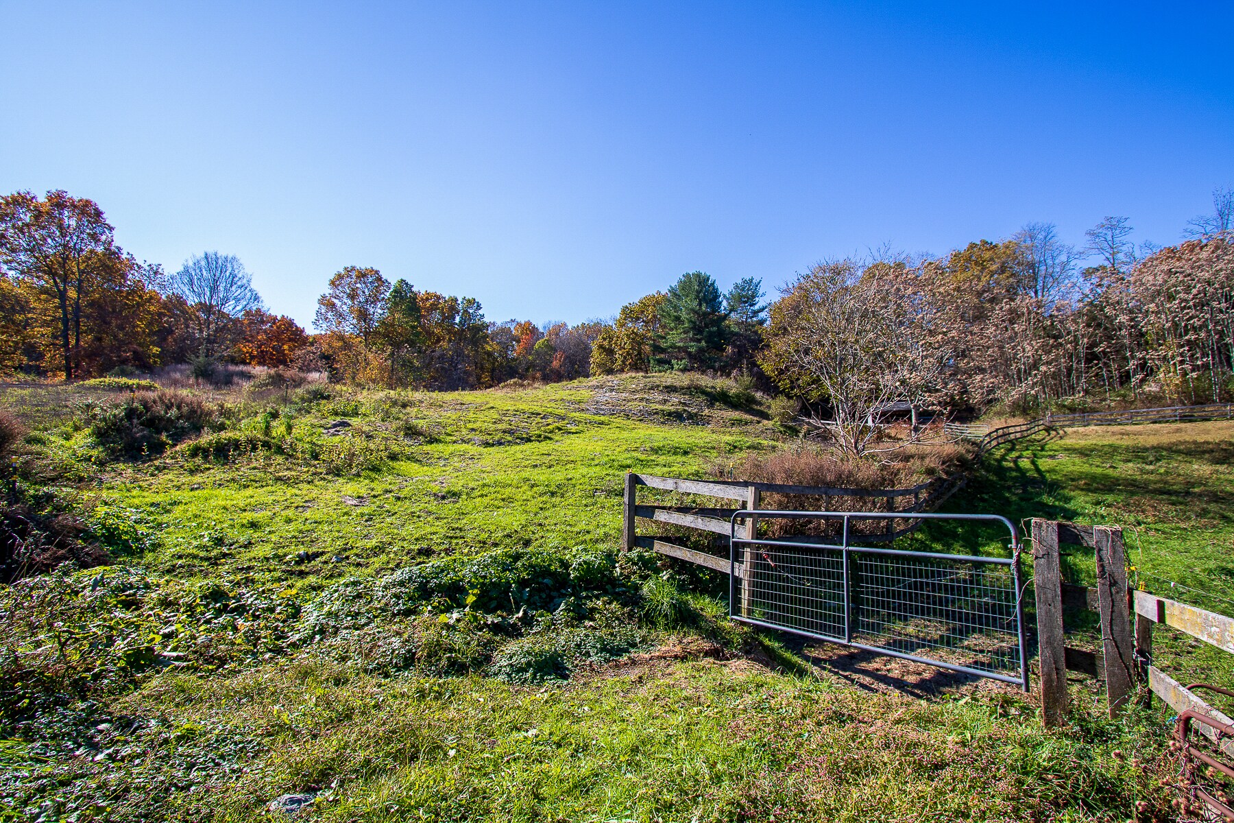 210 Oriole Mills Rd, Rhinebeck, NY 12572 Fat Tony's Horse Farm