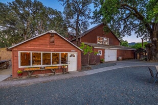 6613 Pope Valley Rd, Pope Valley CA - Vineyard