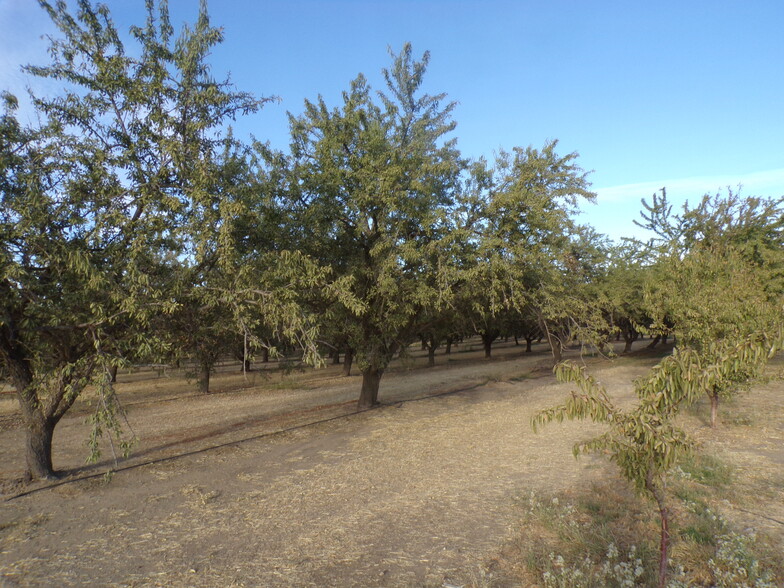 6679 Boles Road, Arbuckle, CA for sale - Building Photo - Image 3 of 4