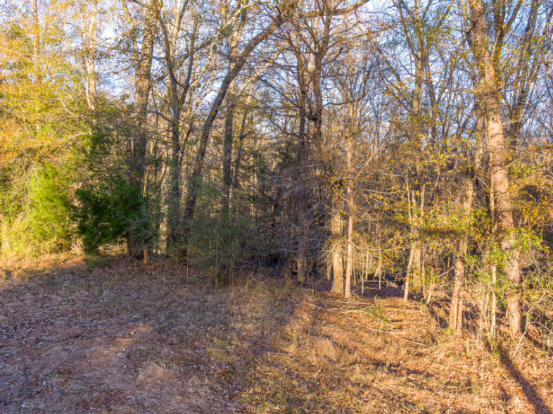 0 Marshall Tucker Rd, Pauline, SC for sale - Other - Image 3 of 22