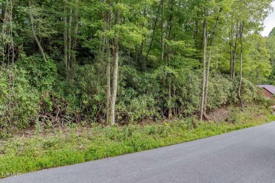 TBD Azen Rd, Damascus, VA for sale - Aerial - Image 3 of 7