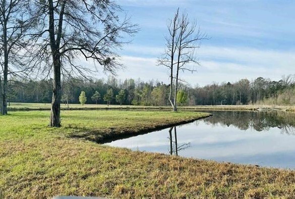 1901 Lay Dam Rd, Clanton, AL for sale Other- Image 1 of 5