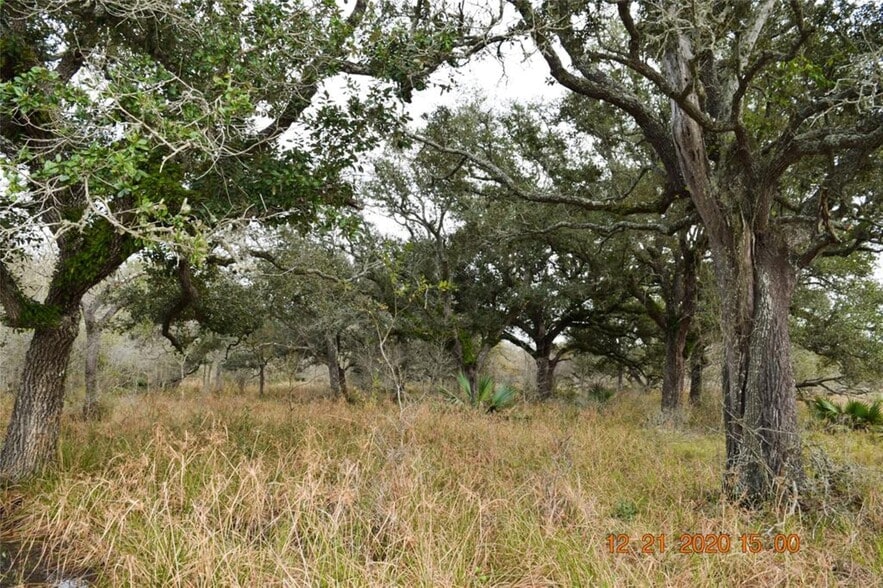 0 Ashwood Road, Van Vleck, TX for sale - Primary Photo - Image 1 of 1