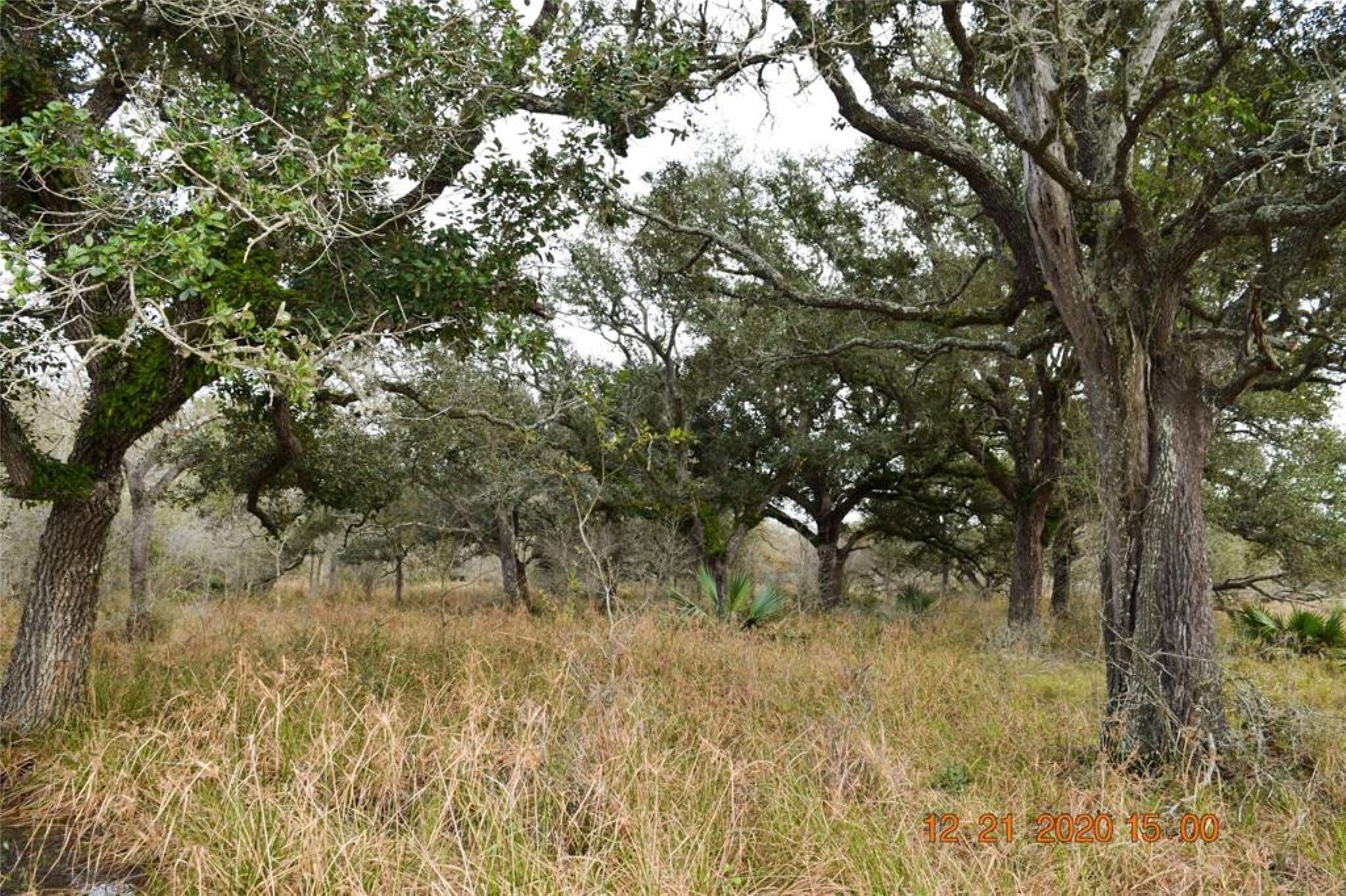 0 Ashwood Road, Van Vleck, TX for sale Primary Photo- Image 1 of 1