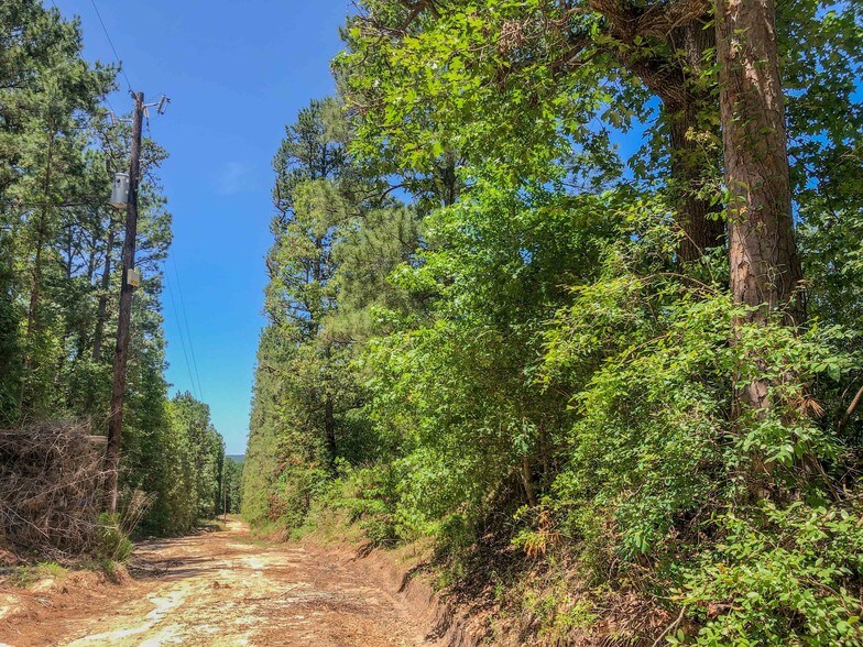 Fountain Creek Rd, Trinity, TX for sale - Other - Image 1 of 1