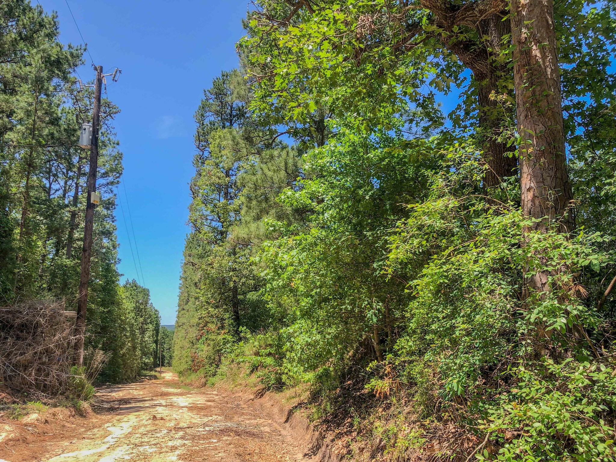 Fountain Creek Rd, Trinity, TX for sale Other- Image 1 of 1