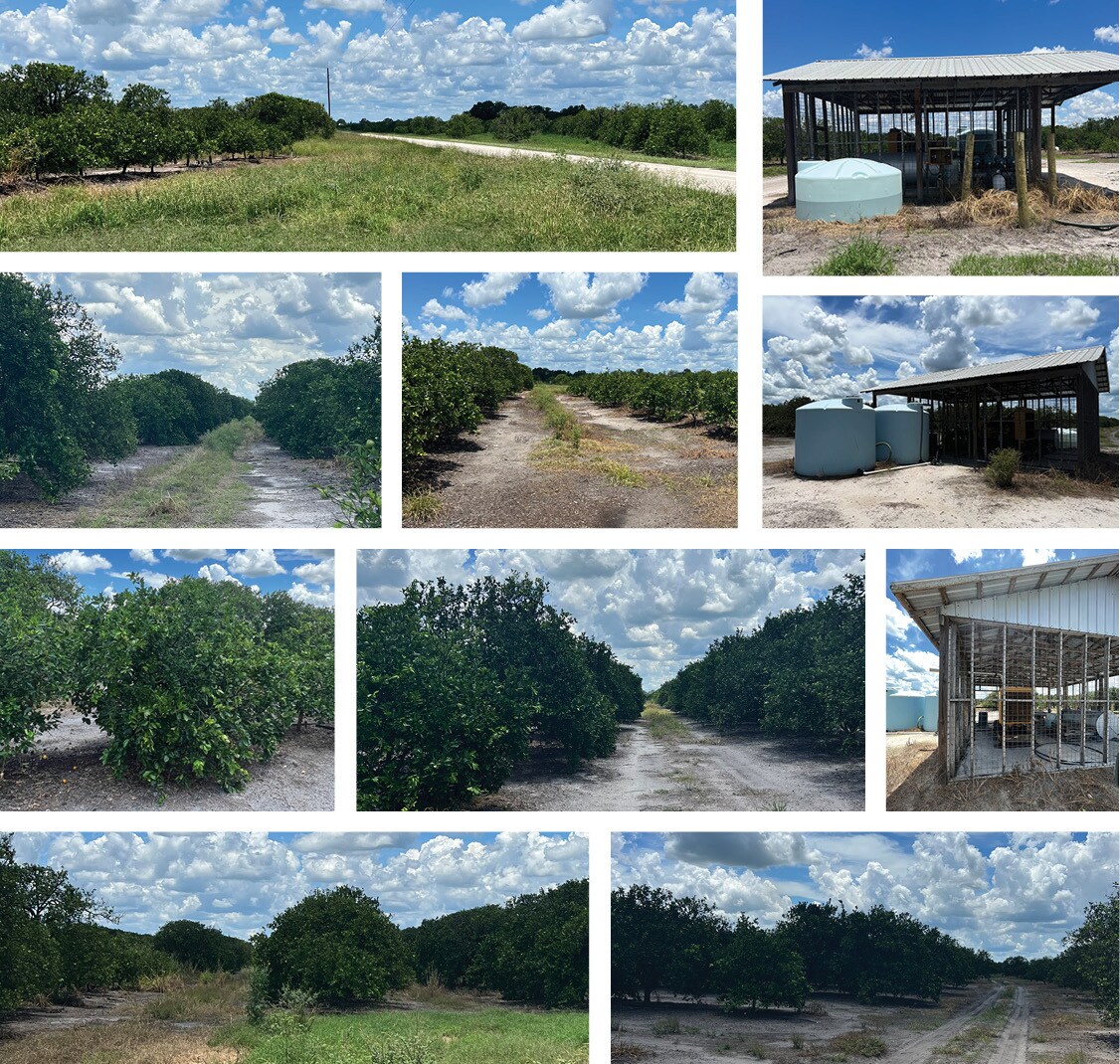 Crewsville, Zolfo Springs, FL 33890 Land for Sale