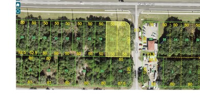 641 Tamiami, Port Charlotte, FL - aerial  map view