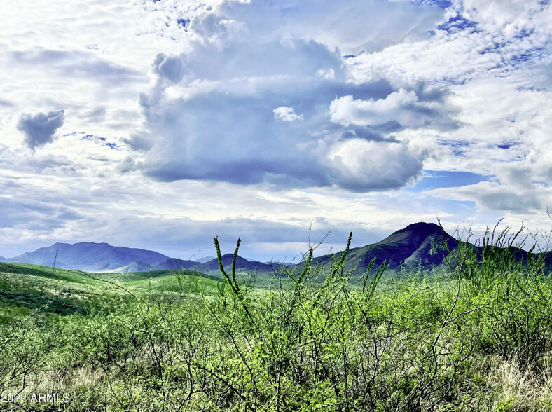 4027 N Twin Buttes Ct, Bisbee, AZ for sale - Building Photo - Image 3 of 11