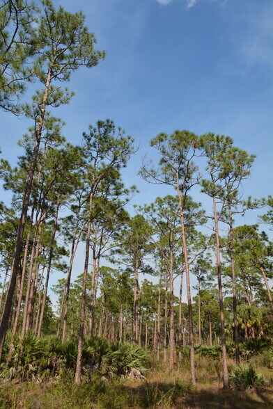 8425 SW Martin Hwy, Palm City, FL for sale - Other - Image 2 of 19