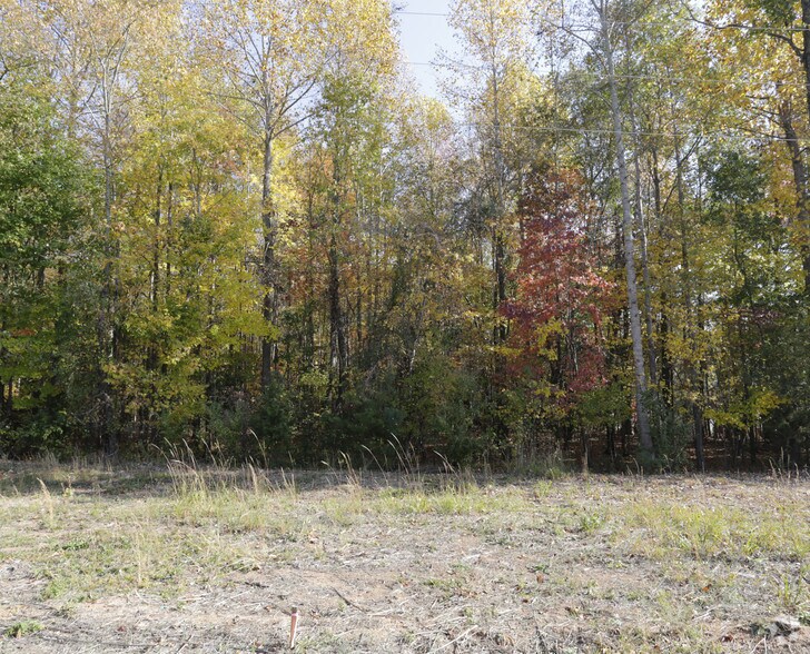 145 Bonum Rd, Clover, SC for sale - Primary Photo - Image 1 of 1