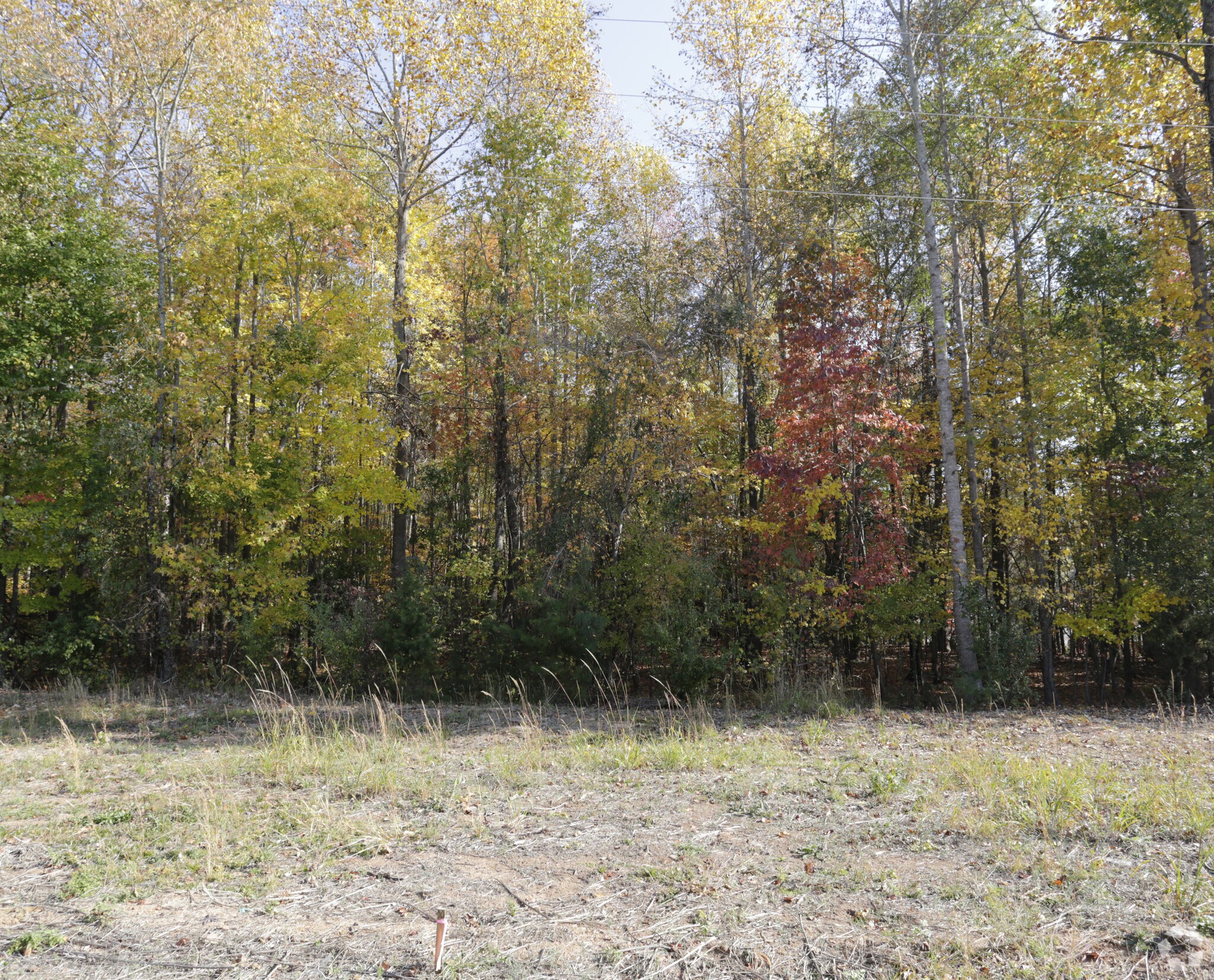 145 Bonum Rd, Clover, SC for sale Primary Photo- Image 1 of 1