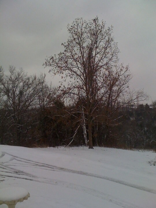 463 Canoe Way, Lancaster, KY for sale Primary Photo- Image 1 of 1
