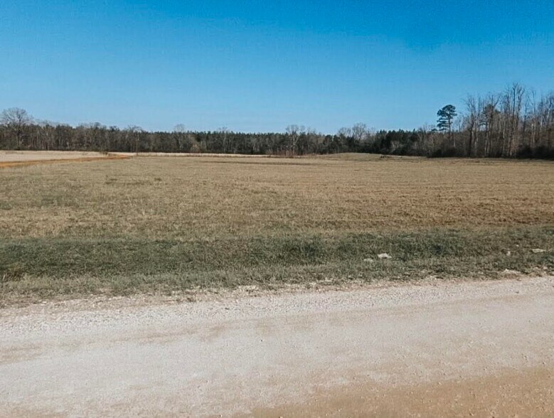 Cerro Gordo Rd, Olivehill, TN 38475