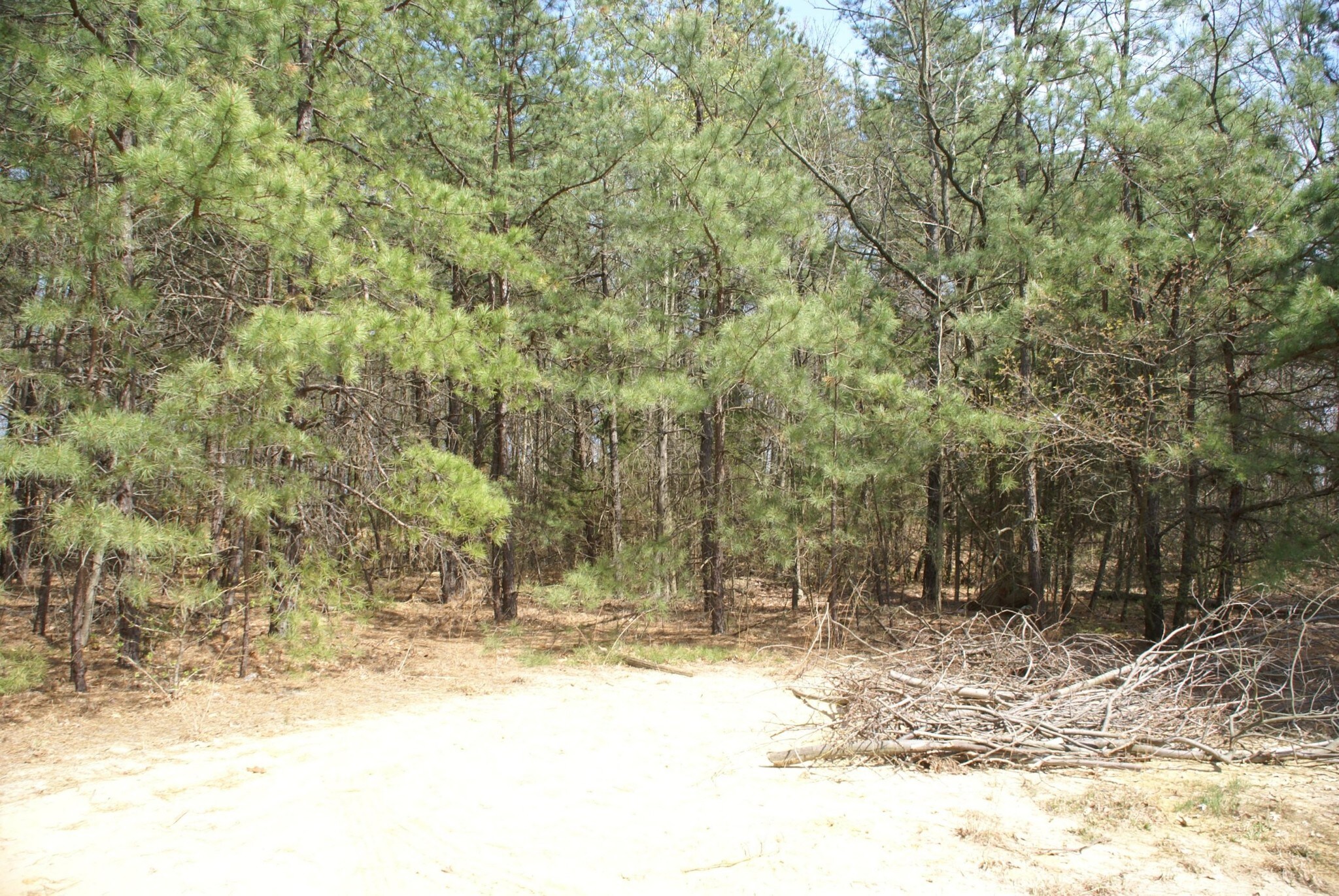 28 Burnt Tavern Rd, Millstone, NJ for sale Primary Photo- Image 1 of 1