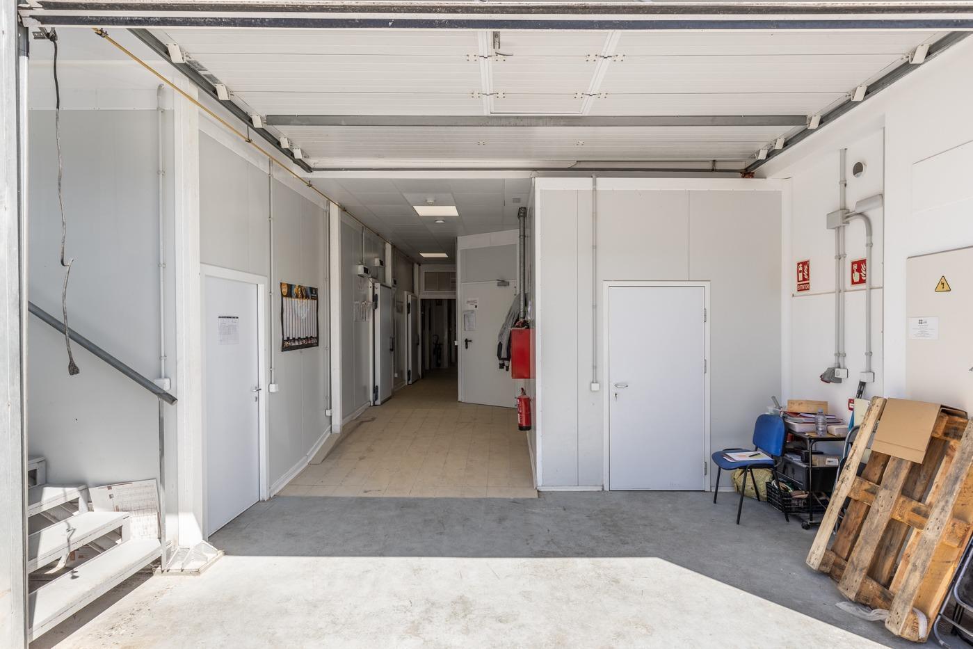 Industrial in Palma, Islas Baleares for sale Interior Photo- Image 1 of 22