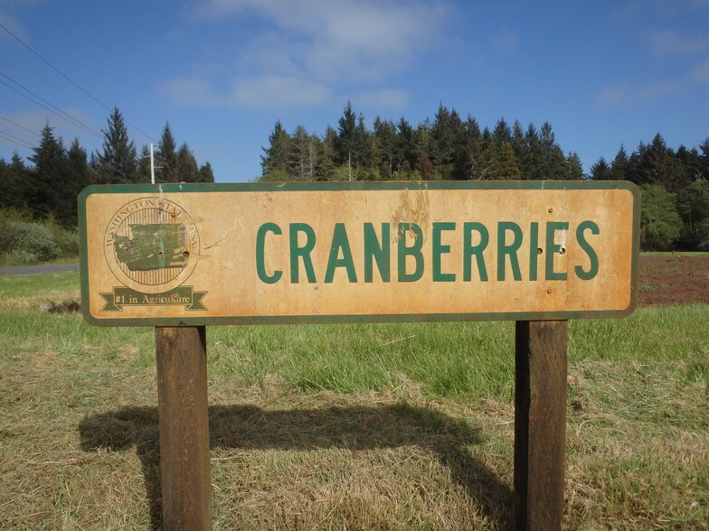 3804 40th St, Seaview, WA for sale - Other - Image 1 of 1