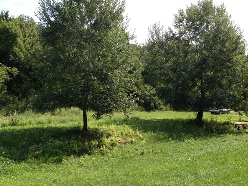 39 Hwy YY, Cook Station, MO for sale Primary Photo- Image 1 of 1