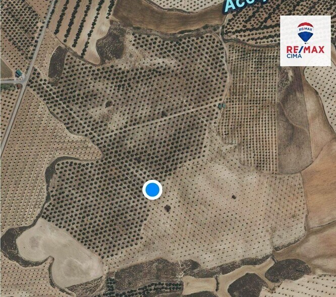 Land in Benamaurel for sale - Floor Plan - Image 2 of 11