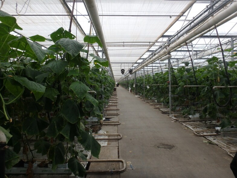 568 Tomato Dr, Punxsutawney, PA 15767