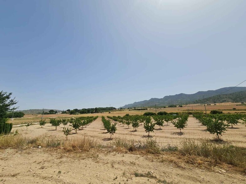 Land in MURCIA for sale - Building Photo - Image 3 of 8
