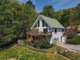 366 Paradise Rd, Blairsville GA - Vineyard