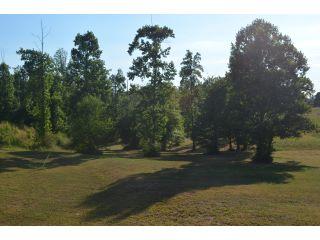 0 Refuge Rd, Jasper, GA for sale Primary Photo- Image 1 of 1