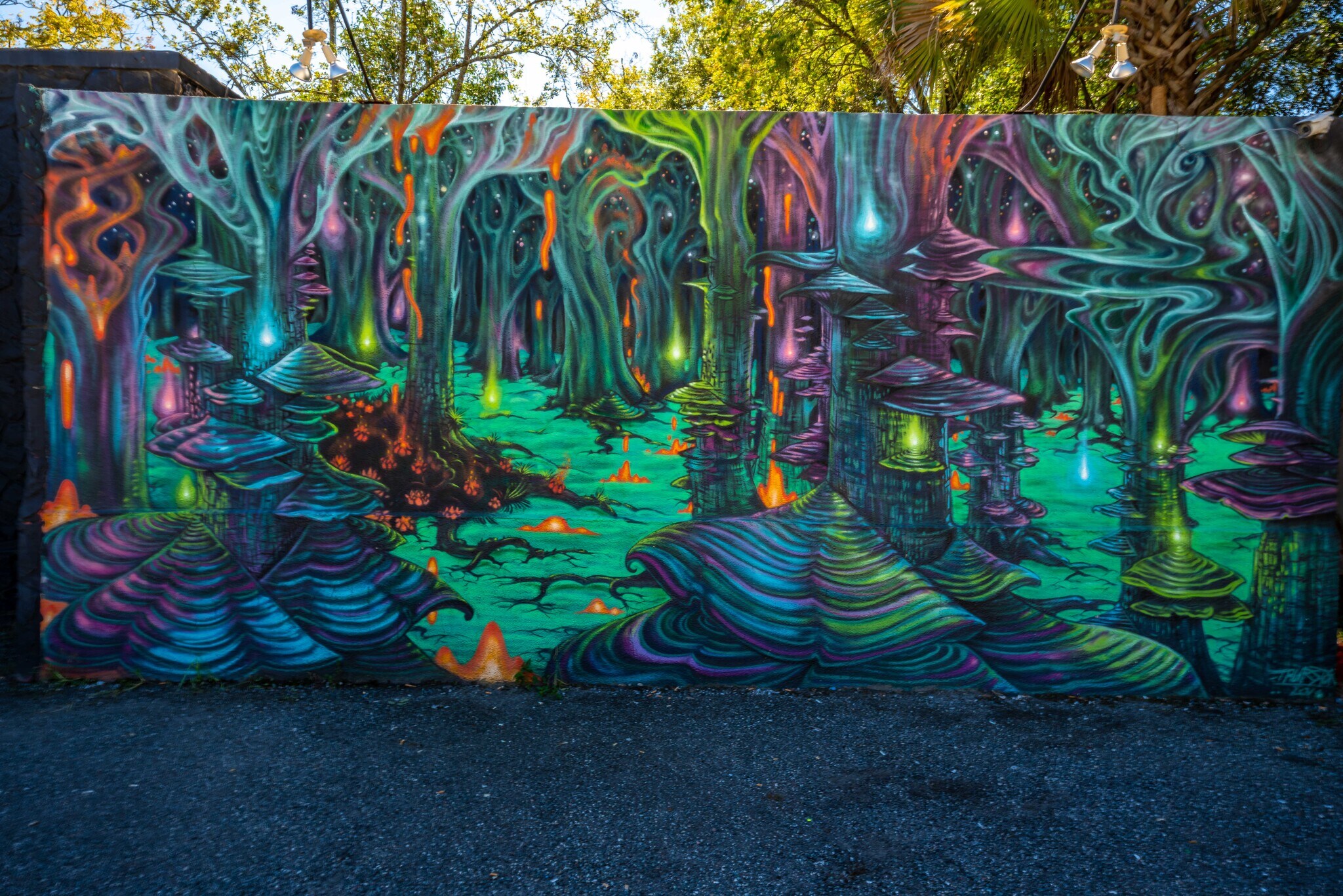 2952 Roosevelt Blvd, Jacksonville, FL 32205 Specialty for Sale