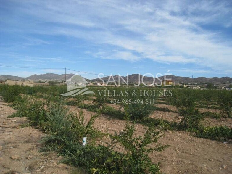 Land in Aspe for sale - Building Photo - Image 1 of 3