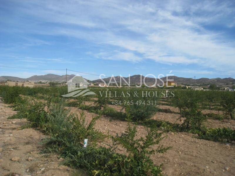 Land in Aspe for sale Building Photo- Image 1 of 4