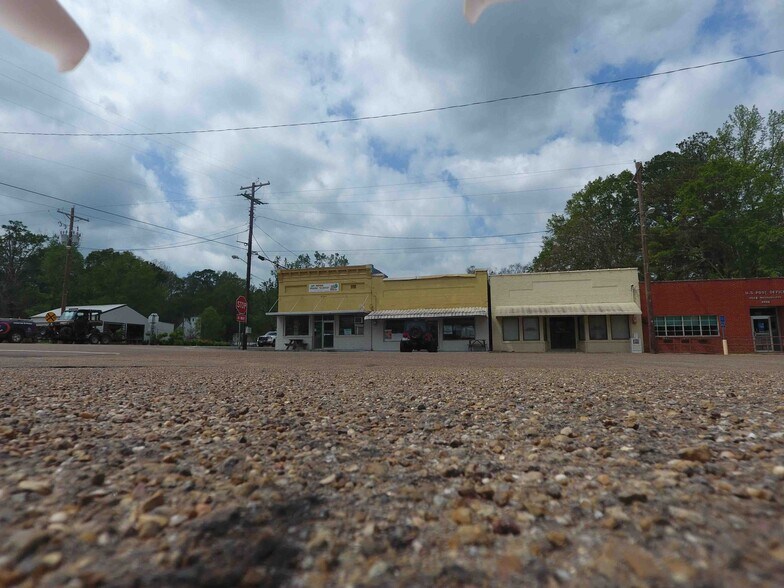 103 Oak St, Mize, MS 39116 Flex for Sale