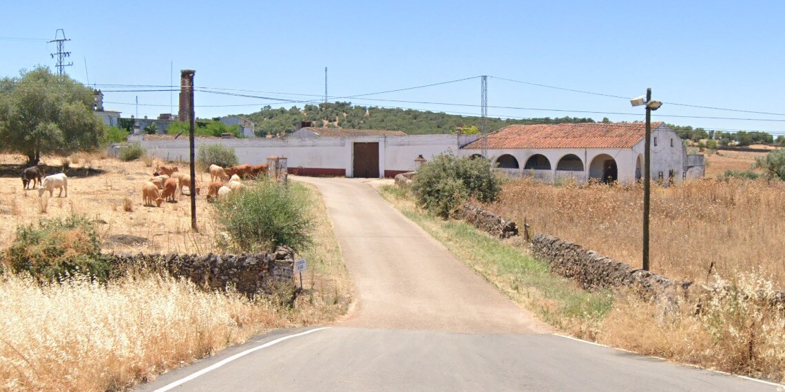 Land in Olivenza for sale Building Photo- Image 1 of 21