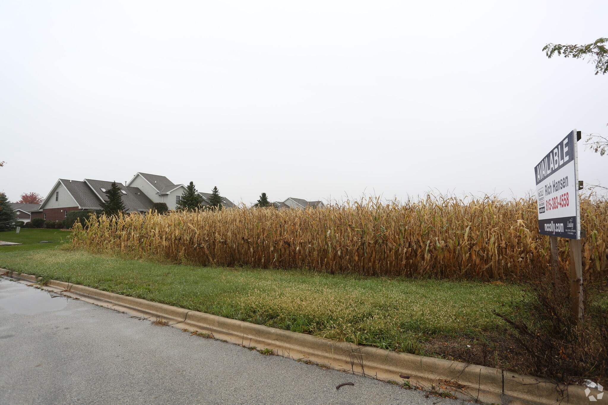 W Wilmington Rd, Peotone, IL for sale Primary Photo- Image 1 of 6