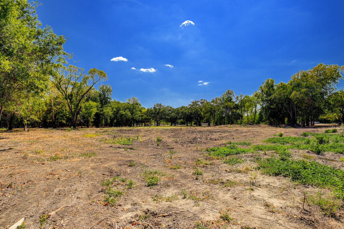View Photo