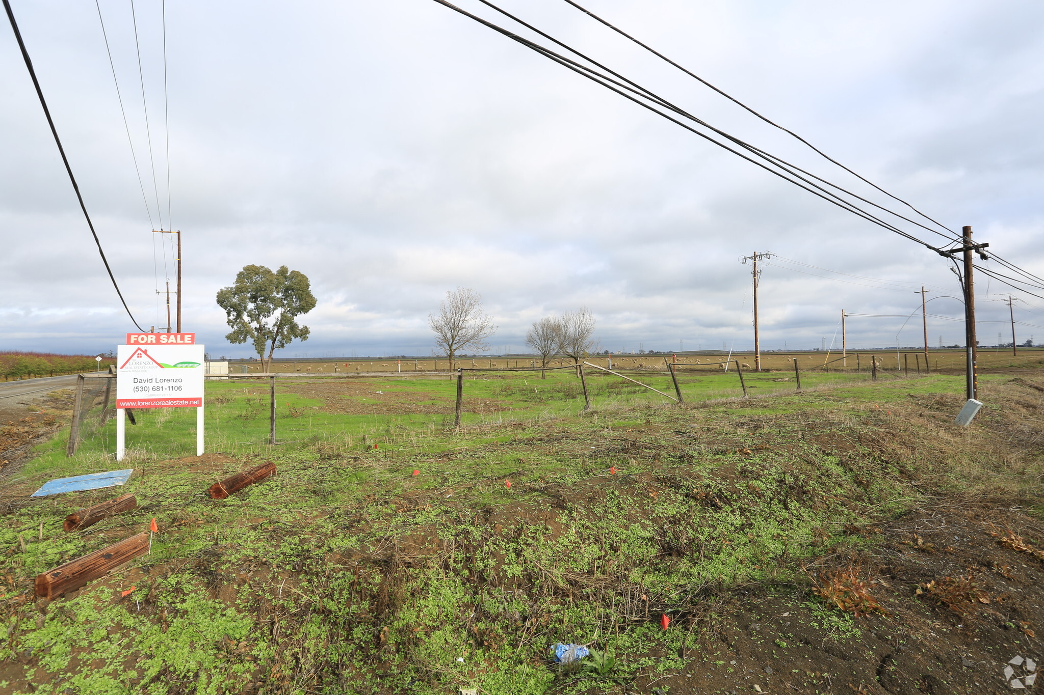 Highway 16, Madison, CA for sale Primary Photo- Image 1 of 4