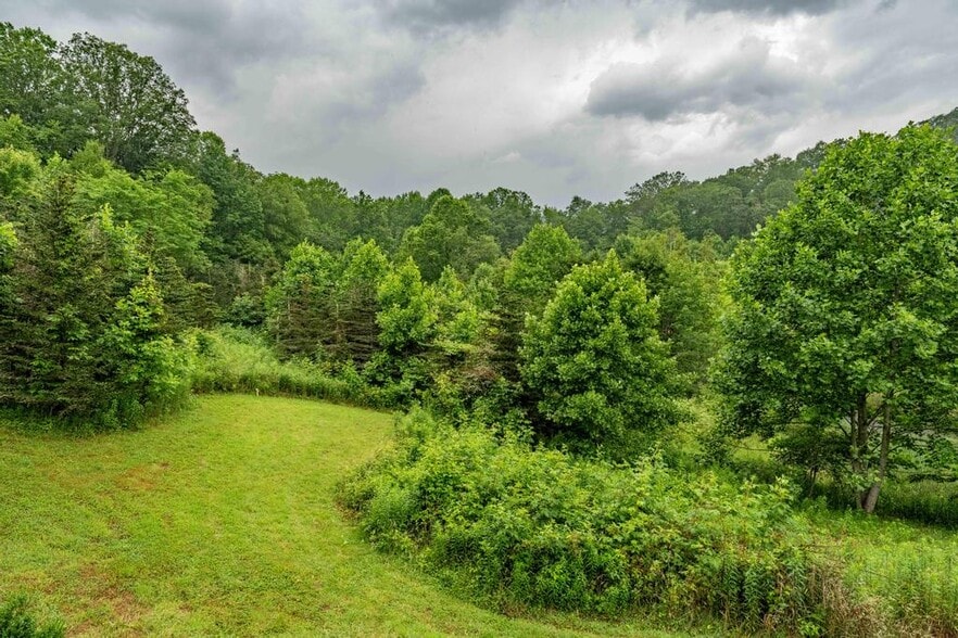 306 Bear Branch rd, Roan Mountain, TN for sale - Primary Photo - Image 1 of 23