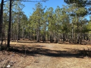 North Fraser St, Georgetown, SC for sale - Floor Plan - Image 1 of 4