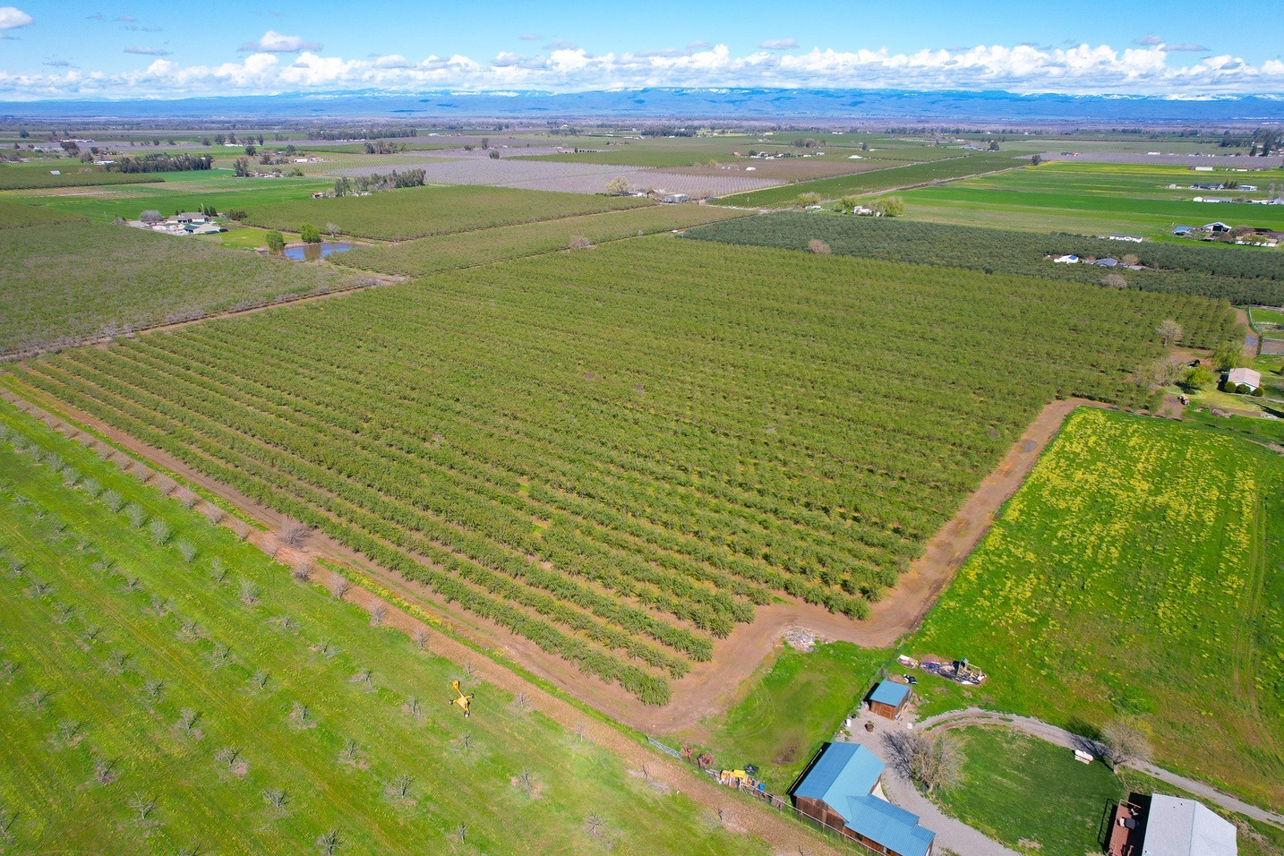 0 Cutting, Capay, CA for sale Primary Photo- Image 1 of 1