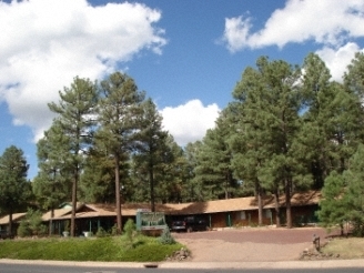 1078 E White Mountain Blvd, Pinetop, AZ for sale Primary Photo- Image 1 of 1