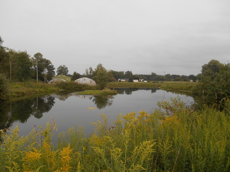 4845 Lake Pleasant Rd, North Branch, MI for sale - Other - Image 3 of 6
