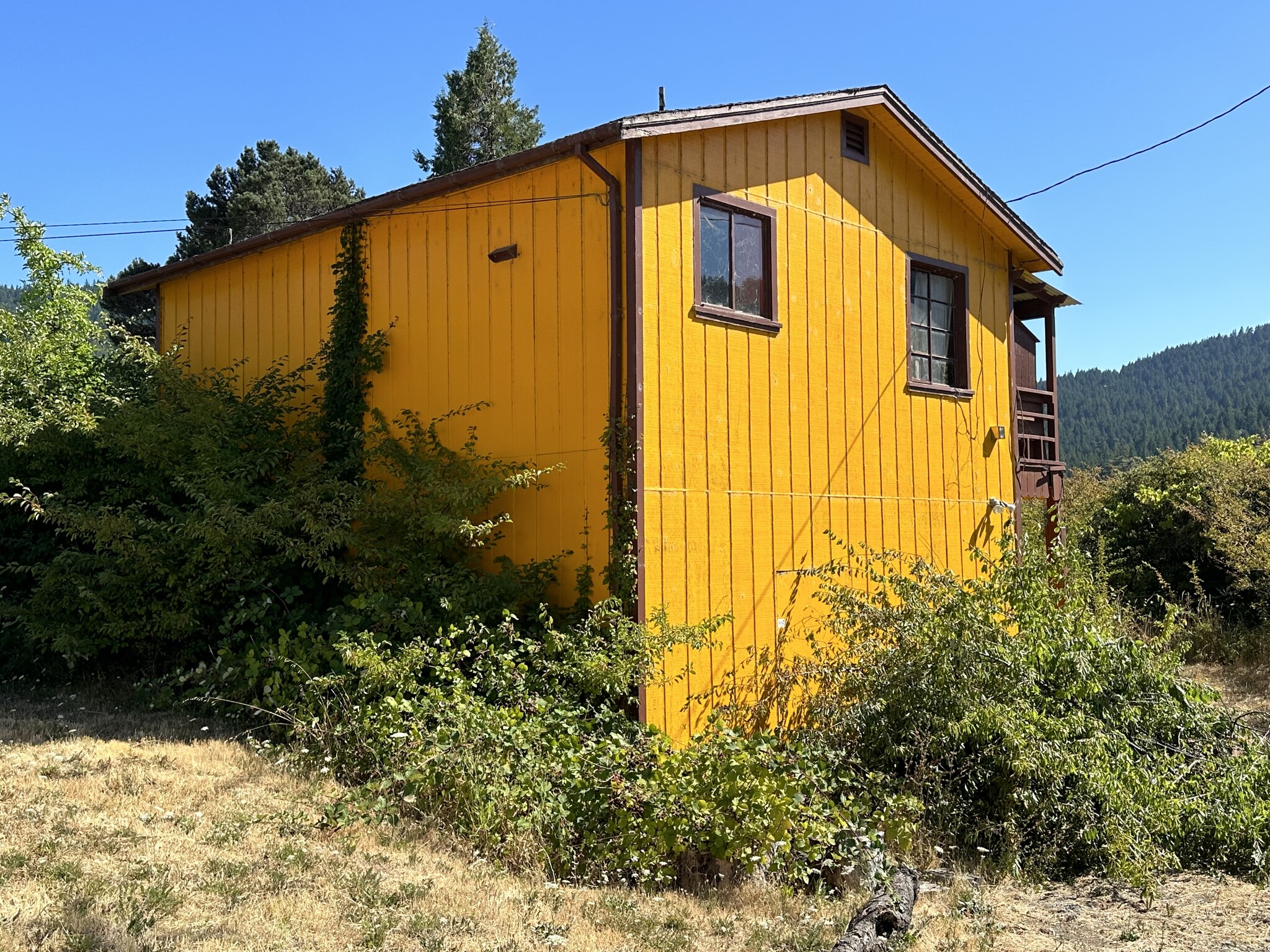 12972 Avenue of the Giants St, Myers Flat, CA for sale Primary Photo- Image 1 of 4