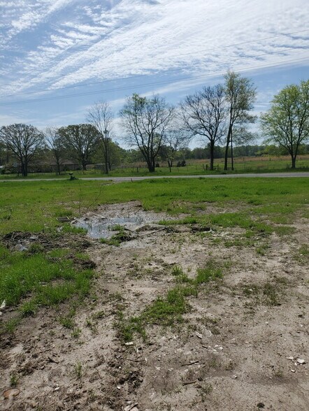 Fm 196, Cunningham, TX for sale - Primary Photo - Image 1 of 1