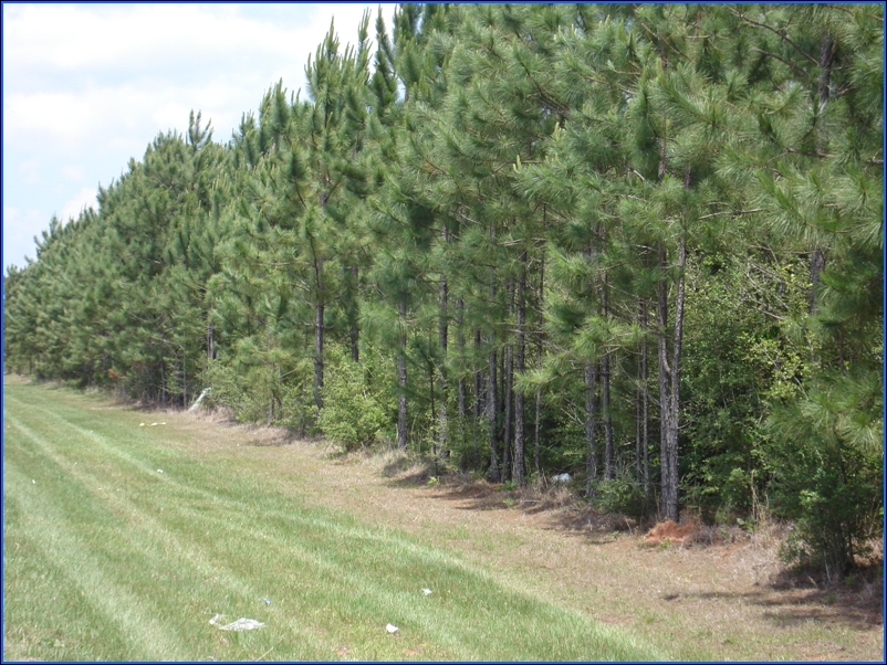 Interstate 10 And Highway 59, Loxley, AL for sale Building Photo- Image 1 of 1