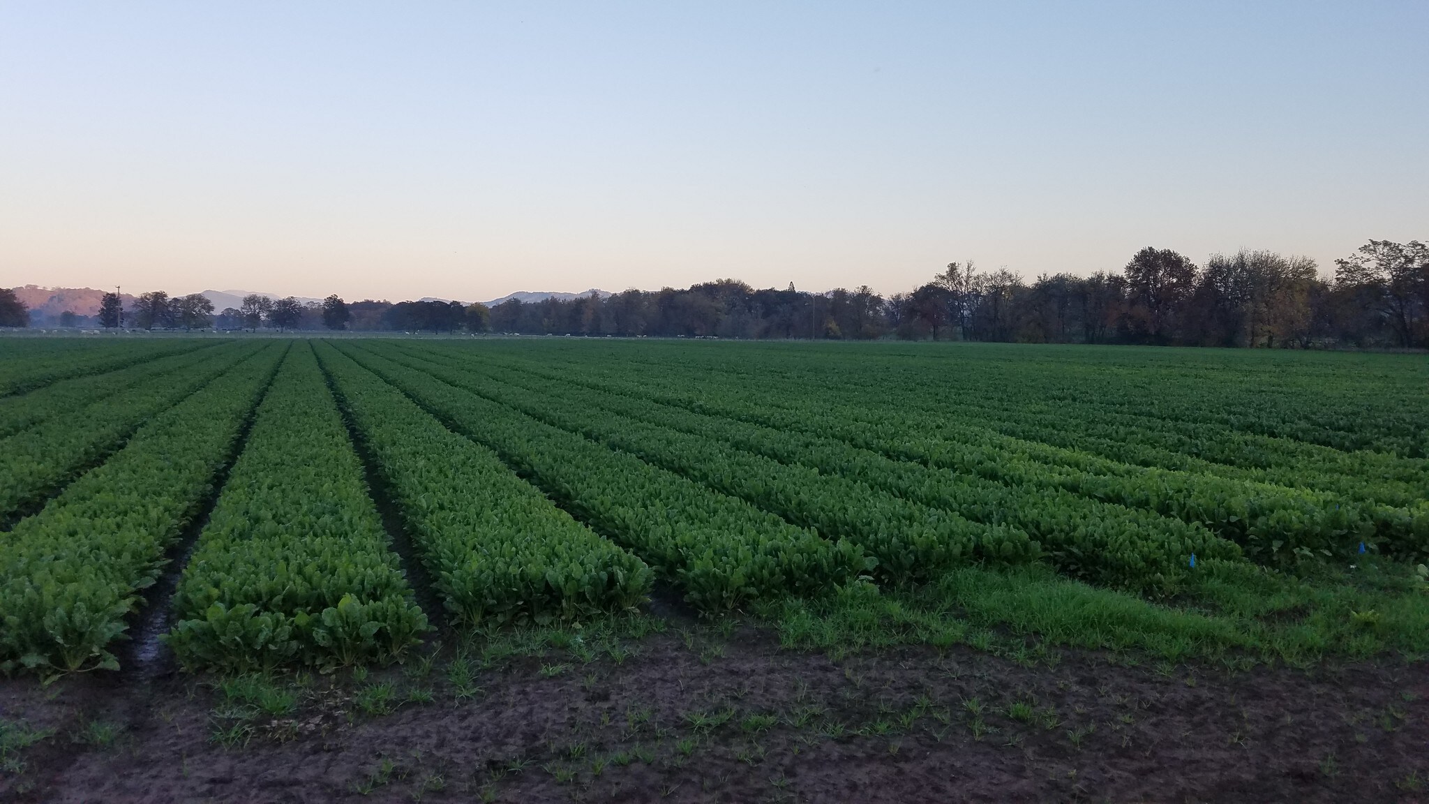 2307 Hubbard Creek Rd, Umpqua, OR for sale Other- Image 1 of 1