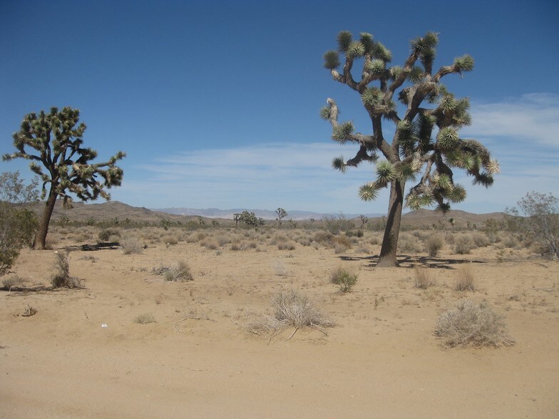 Balsa Rd N, Yucca Valley, CA for sale - Building Photo - Image 1 of 1