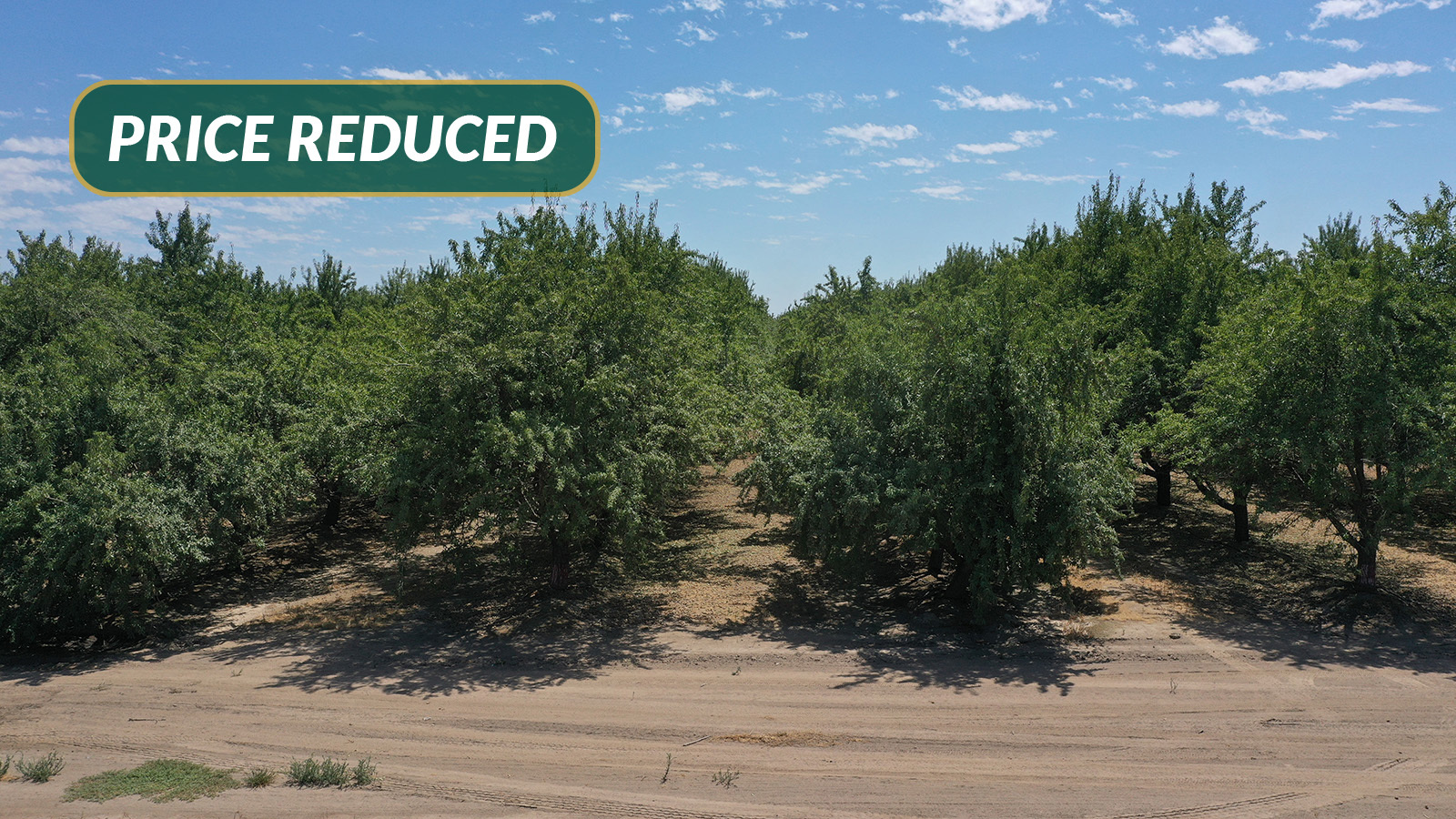 NEC of Ave. 23 1/2 & Rd. 7, Chowchilla, CA for sale Building Photo- Image 1 of 1