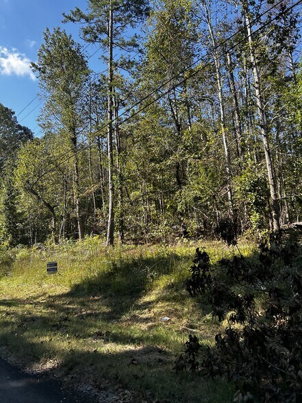 N Holcomb Rd, Martin, GA for sale - Building Photo - Image 2 of 3