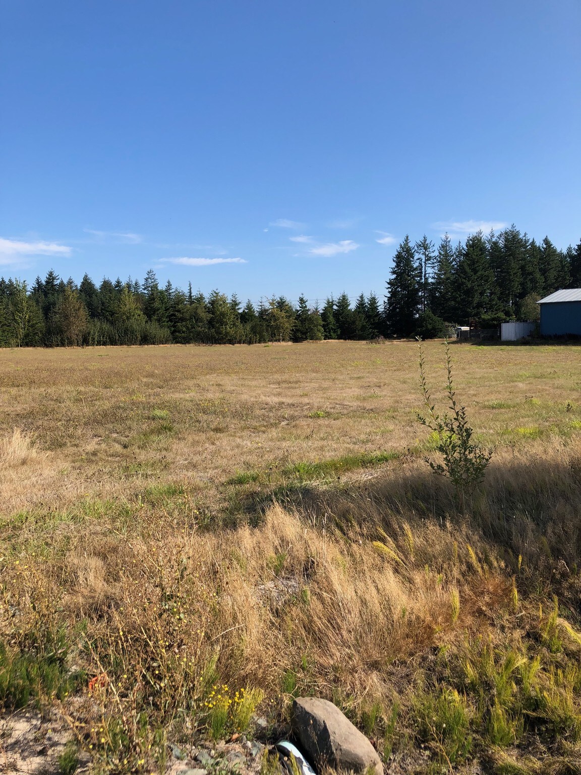 2154 Buchanan Loop, Ferndale, WA for sale Primary Photo- Image 1 of 1