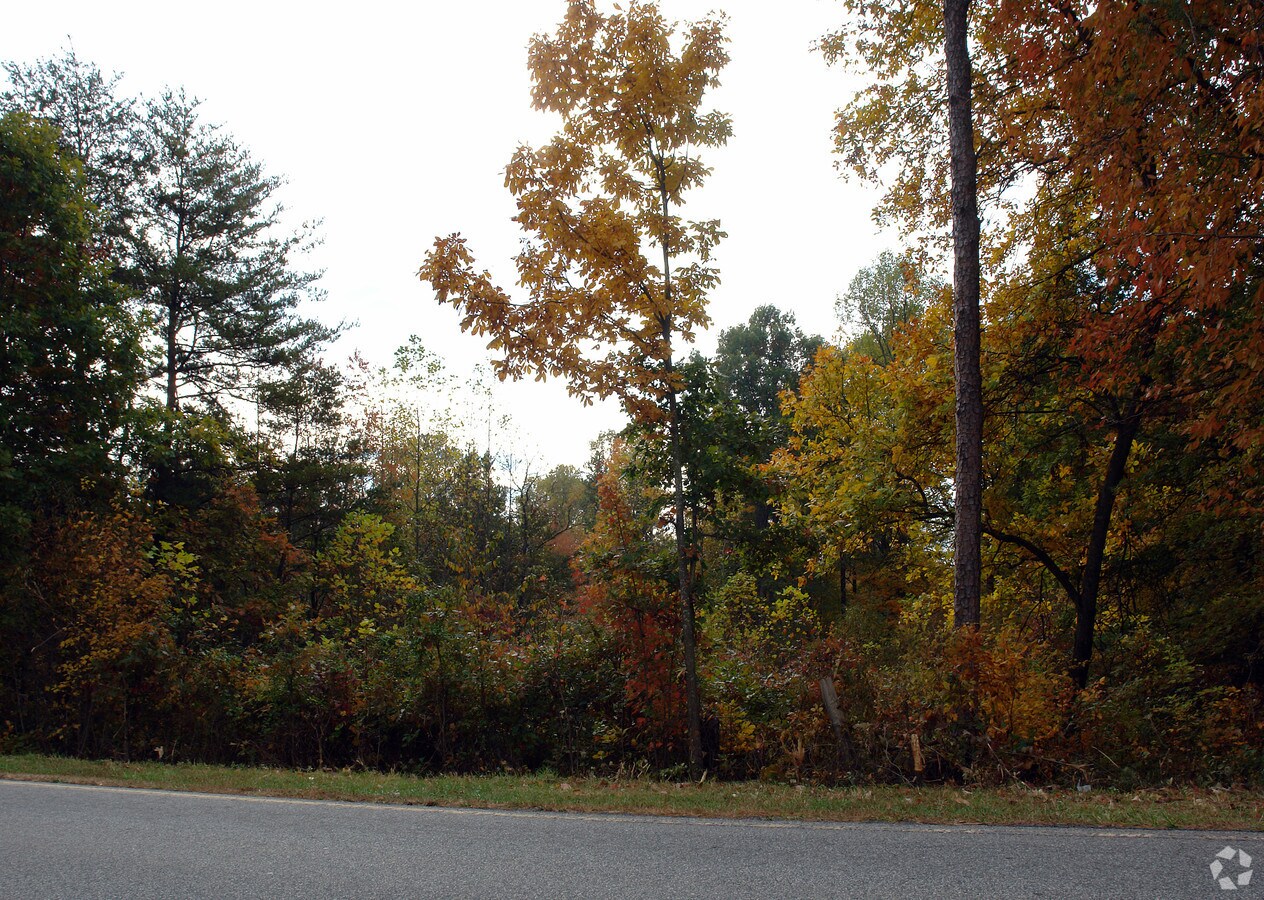 Primary Photo