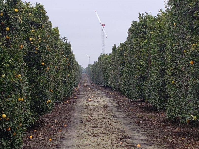 Teapot Dome Rd, Porterville, CA 93257